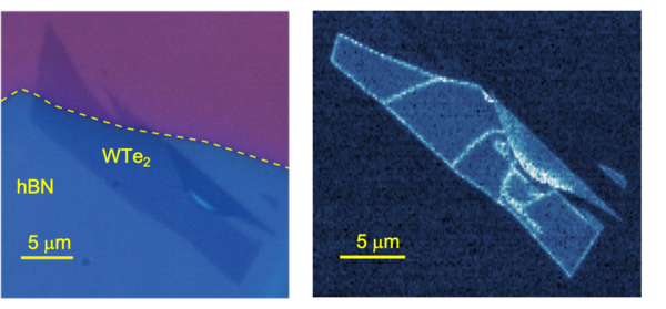 MIM image of monolayer WTe2
